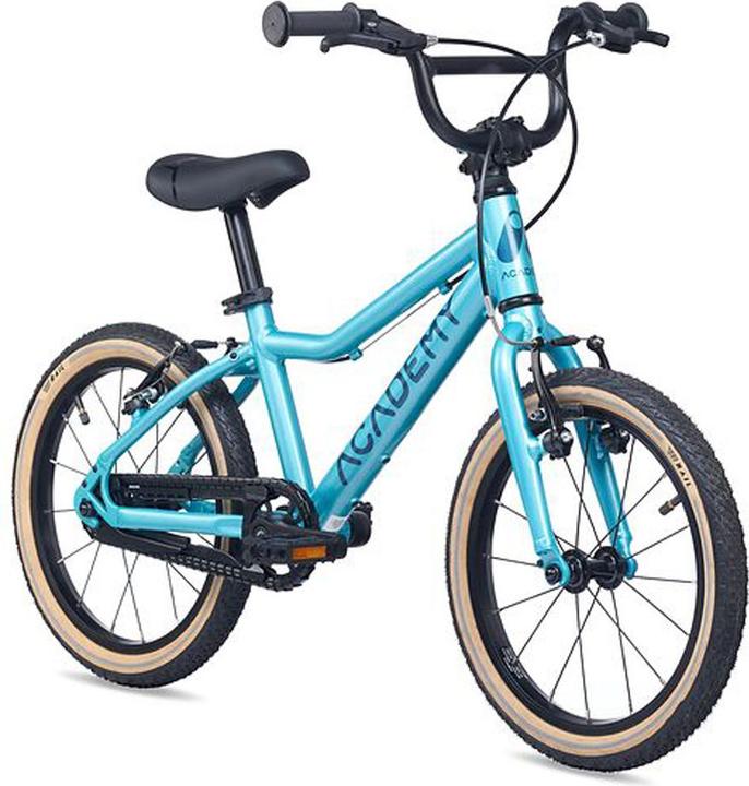 Academy " Grade 3 Ocean (16")