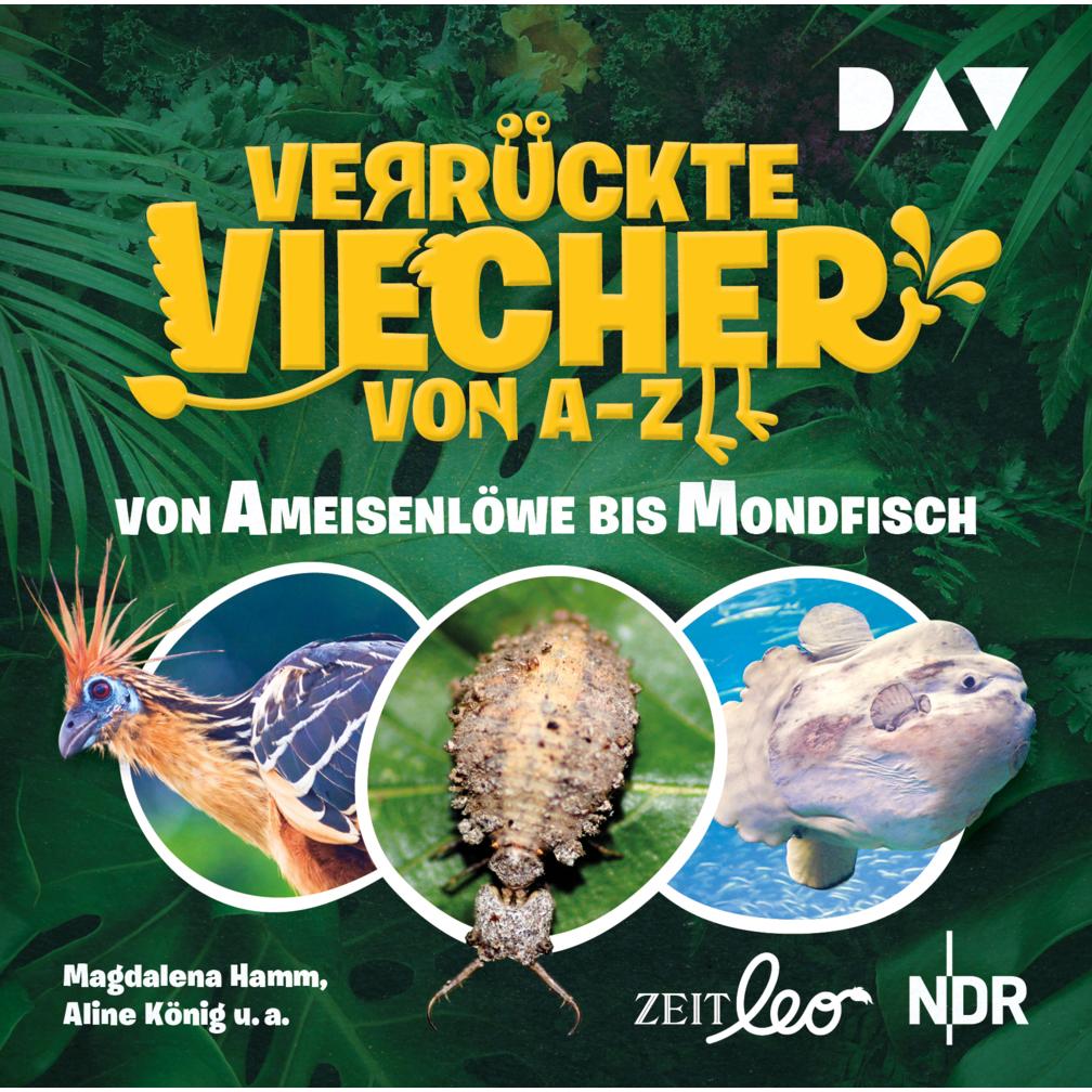 Verrückte Viecher von A bis Z – Teil 1: Von Ameisenlöwe bis Mondfisch, Hörbücher von Magdalena Hamm, Aline König