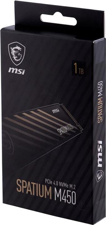 Actual product image MSI Spatium M450 (1000 GB, M.2 2280)