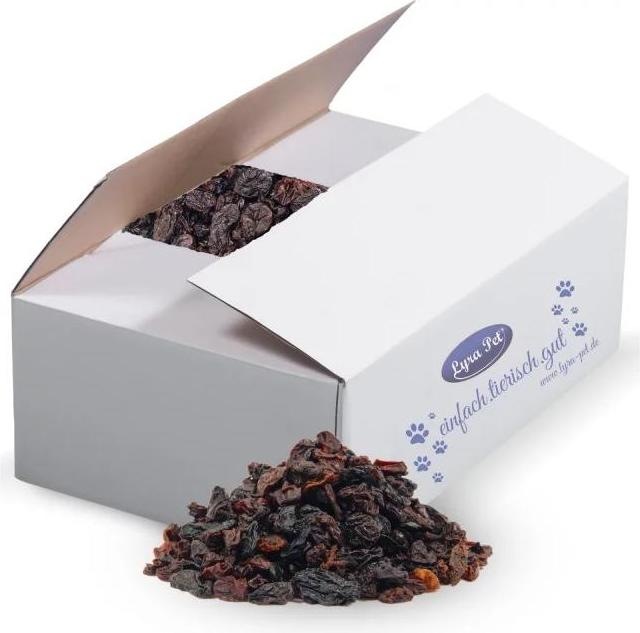 Produktbild Lyra Pet Rosinen (1 x, 10 kg)