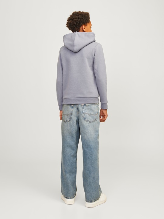 Actual product image Jack & Jones Jjialex Jjoriginal Mf 607 Sn Jnr (176)