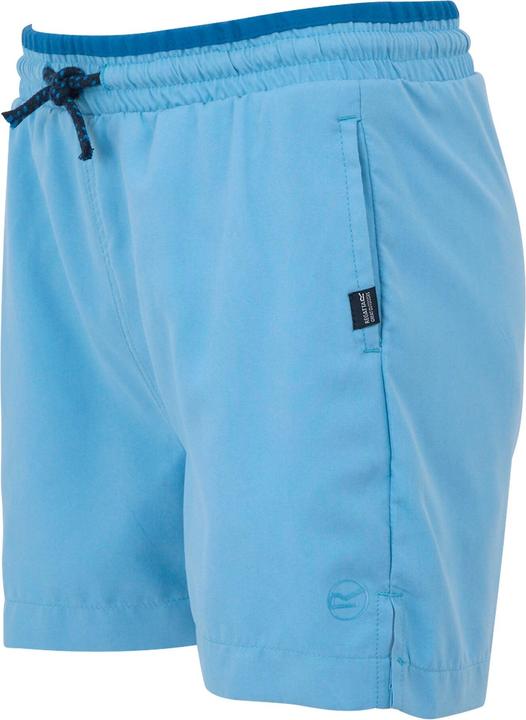 Actual product image Regatta Childrens/Kids Skander III Plain Swim Shorts (170, 176)