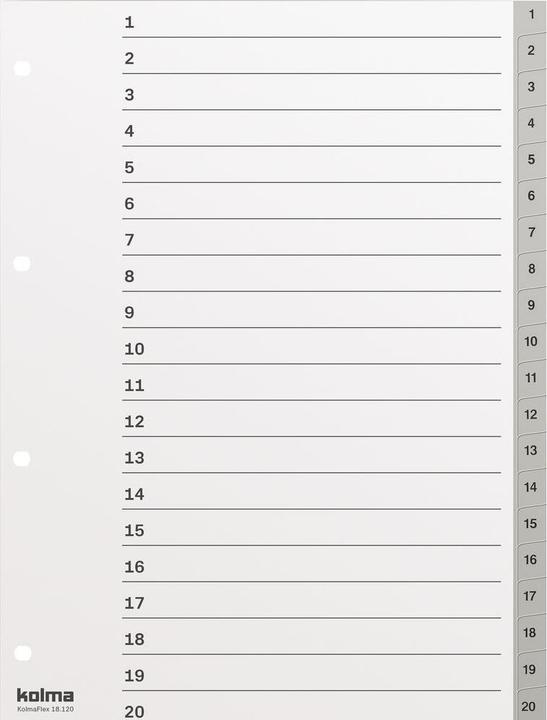 Actual product image Kolma Index A4 strong 1-20 20-piece grey