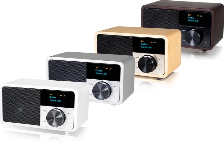 Produktbild Kathrein DAB+ (DAB+, FM, Bluetooth)