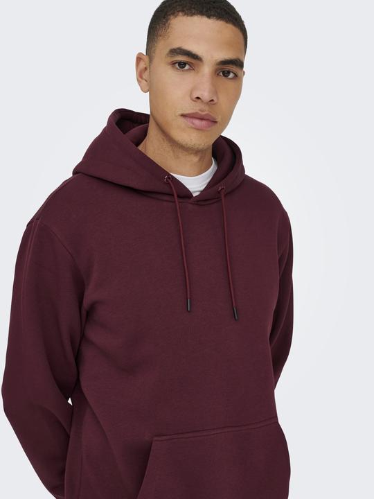 Produktbild Only & Sons Onsceres Hoodie Sweat Noos (L)