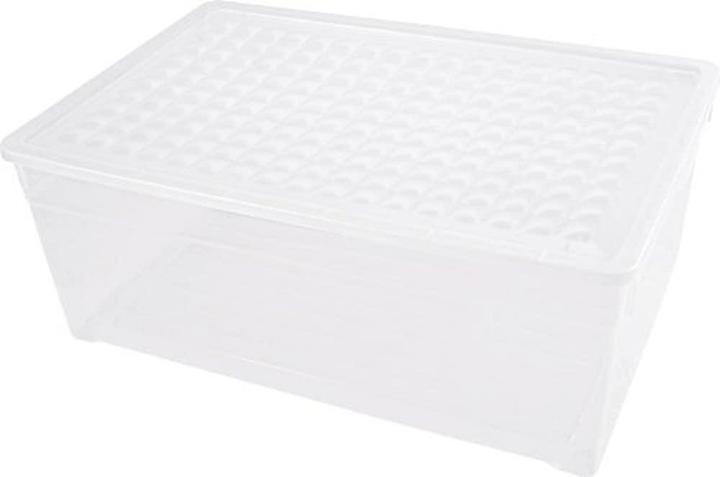 Curver Boîte de stockage (39.40 cm, 45 l, 1x)
