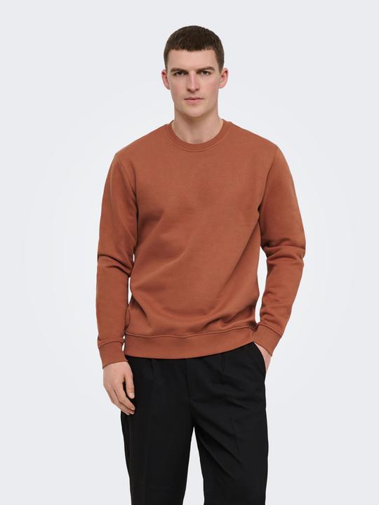 Produktbild Only & Sons Onsconnor Life Reg Crew Neck Sweat Noos (M)