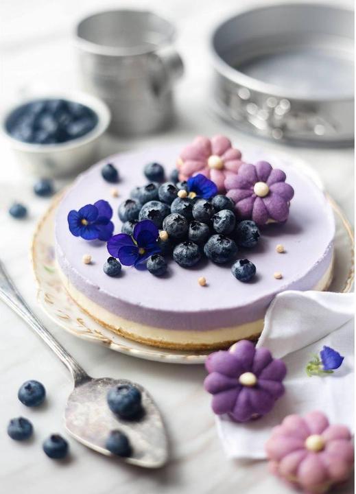 Productafbeelding Patisse Silver-Top springvorm - lekvrije bodem Ø24cm (24 cm)