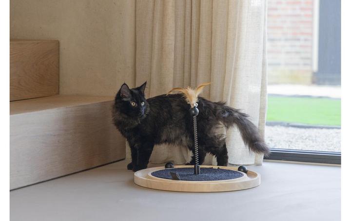 Produktbild Designed by Lotte Holz Kratzspielzeug (Kratzspielzeug Katze)