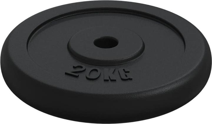 Immagine prodotto vidaXL Hantelscheibe (1 x 20 kg)