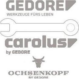 Gedore, Zubehör Schlagwerkzeug, E 224-50 Ersatzkopf Plastik Ø 50 mm