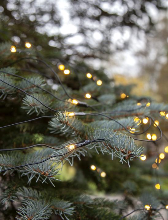 Produktbild Star Trading System Decor Extra, Lichternetz, 200x150cm (2 m)