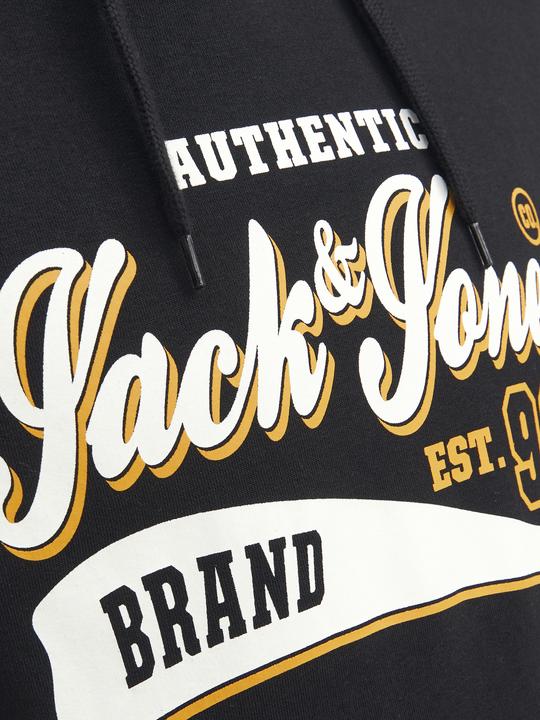 Image du produit Jack & Jones Logo Hoodie (L)