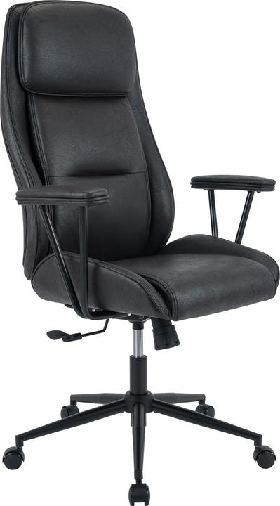 CLP Siddar (49 - 60 cm)