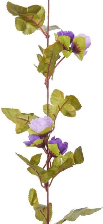 Immagine prodotto vidaXL Kranz