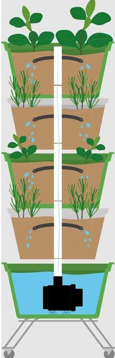 Produktbild Hexagro Poty L Kit Bundle -Starter Kit