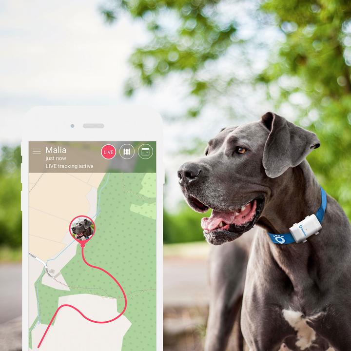 Produktbild Tractive GPS Tracker (XL, Hund)