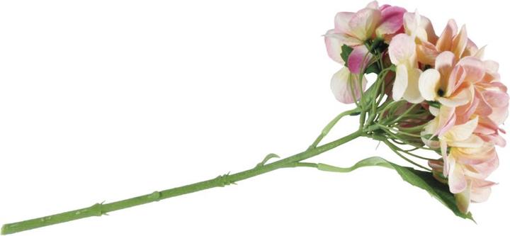 Actual product image Rayher Hydrangea, pink (35 cm)