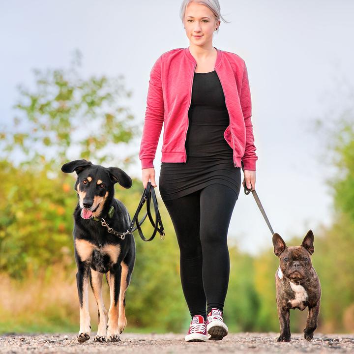 Image du produit Tractive Traqueur GPS pour animaux de compagnie (Chien)