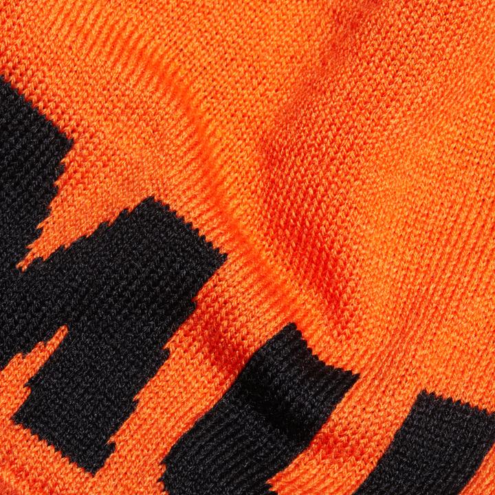 Actual product image Mammut Logo Beanie (One size)