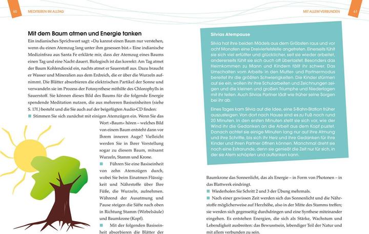 Actual product image Meditate for Beginners + Meditation CD (German, Heinrich Klaus, 2017)