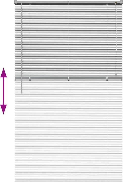 Immagine prodotto VidaXL Fensterjalousien (105 x 175 cm)