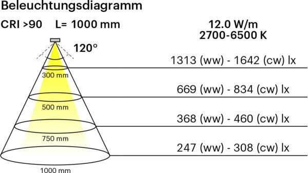 Immagine prodotto L&S Nastri LED LED COB 12 / 24 V (Bianco caldo, Bianco freddo, 500 cm)