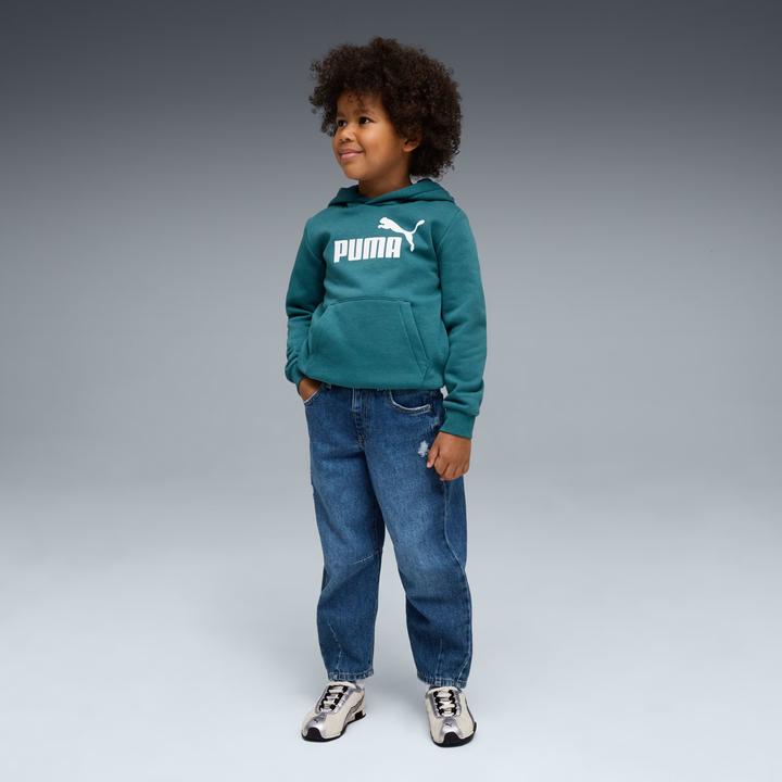 Image du produit Puma ESS No. 1 Logo Hoodie FL PS (110)