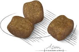 Actual product image Royal Canin Dental Care Mini (Adult, 1 pcs., 3000 g)