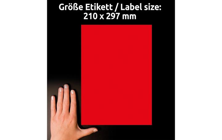 Produktbild Avery Neon-Etiketten