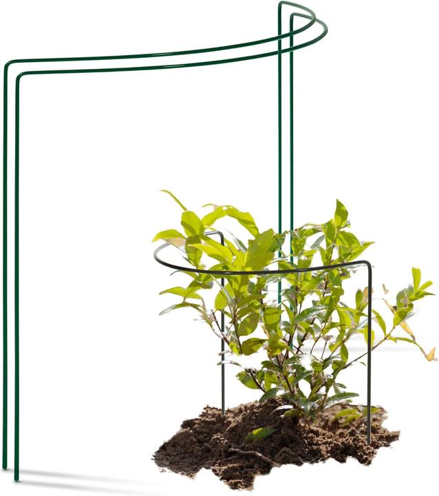 Novatool 2 Strauchsttze Metall halbrund 40 cm 35 cm hoch grn  Staudenhalter Blumenhalter Rankengewchs Pfla (15 cm, 40 cm)