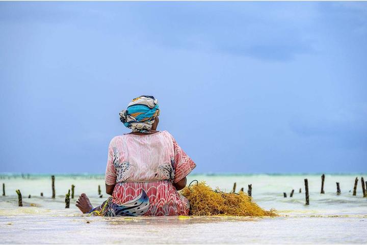 Immagine prodotto Nikon NIkkor Z 24-200mm f/4-6.3 VR (Nikon Z, Full frame)