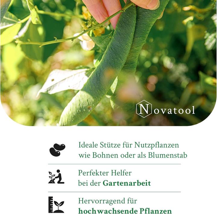 Novatool 400x Splittstbe 30 cm x 3,5 mm I Grn I Rankhilfe Tomaten Stangen  Bambus Pflanzstbe Holz stbe fr (30 cm, 0.35 cm) - Galaxus