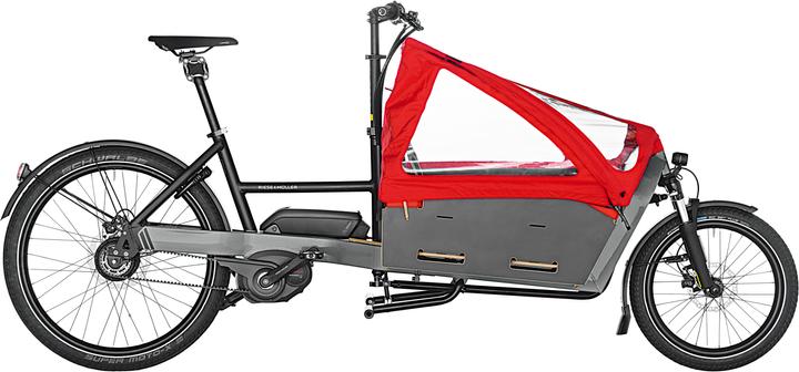 Riese & Müller Packster 60 vario HS