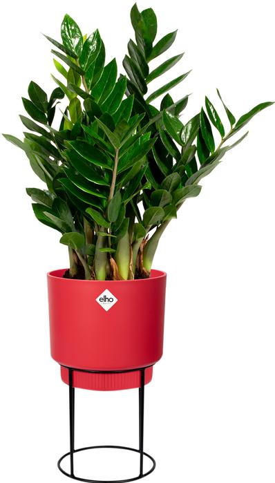 Produktbild Elho b.for studio (22 cm)