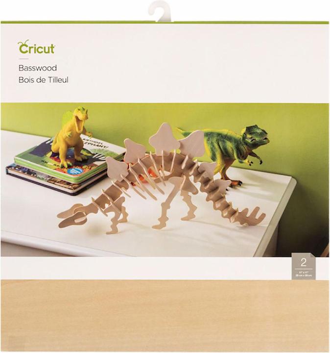 Actual product image Cricut Basswood wood discs