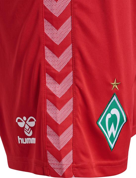 Produktbild hummel Torwart Werder Bremen 2023/24 (S)