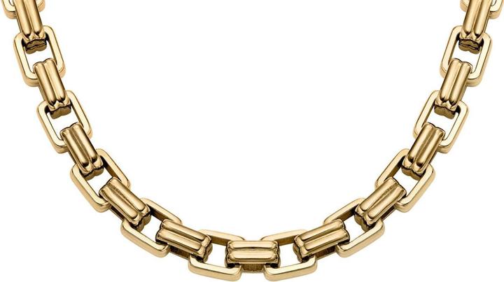 Image du produit Fossil JF04954710 Collier Maille (Acier inoxydable)