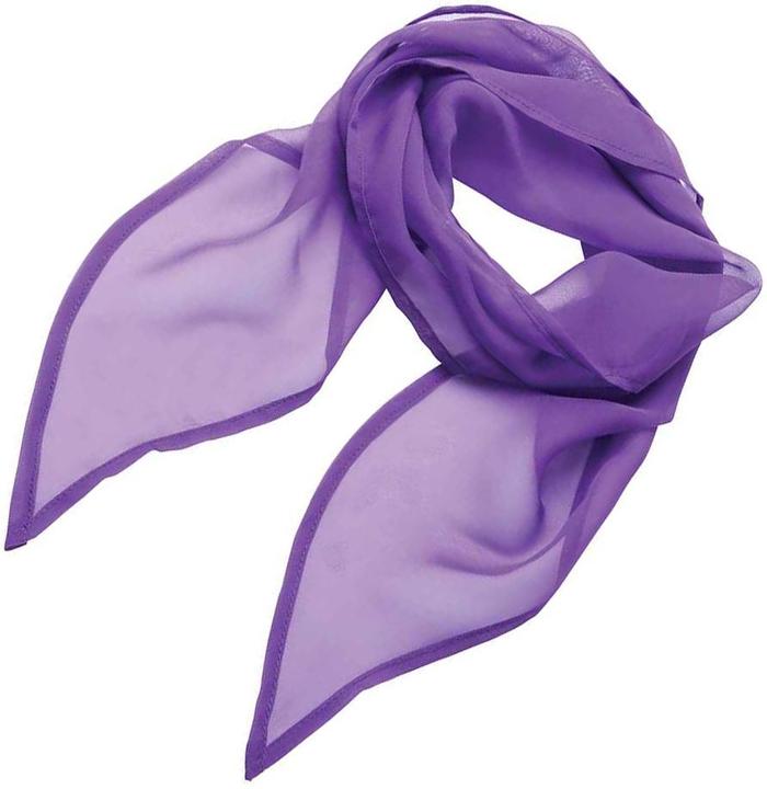 Produktbild Premier Colours Schal