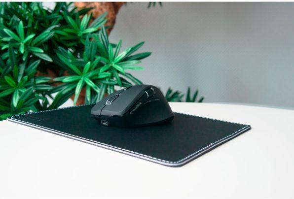 Actual product image Speedlink Notary (M)