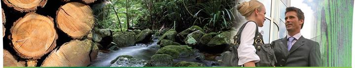 Produktbild Hennaplus Men's Own (Mittelblond)