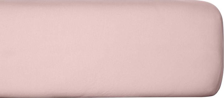 BettwarenShop Boxspring (100x200 cm)