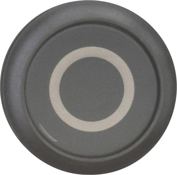 Actual product image Eaton Push-button, RMQ titanium, flat, momentary, 216610