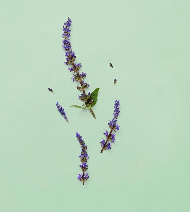 Produktbild Gucci Parfum (Eau de Parfum, 50 ml)