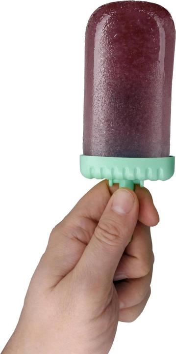 Produktbild VinBouquet Set mit 6 Eisformen