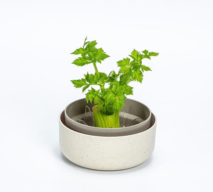 Image du produit URBALIVE Kit de germination pour microgreens (Germes)