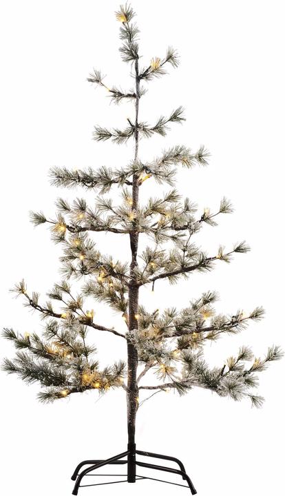 Produktbild Sirius Alfi (120 cm)