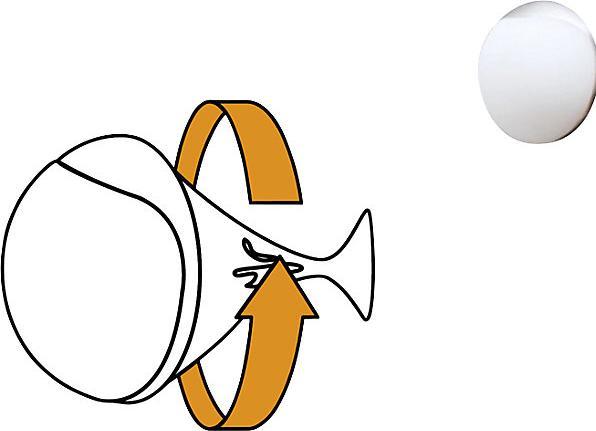 Actual product image Wall door stopper Screw or Glue Wall ø 20x8 mm (2 Piece)