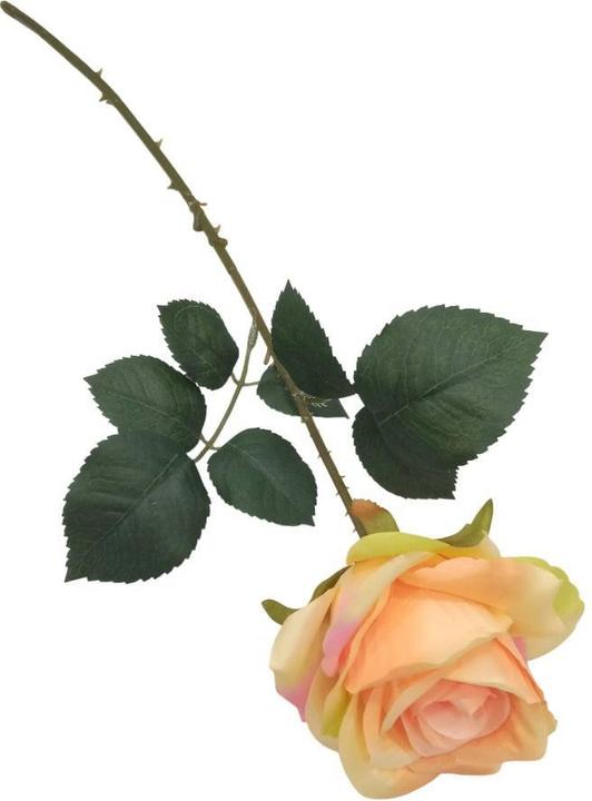 Domoletti Artificial flower, rose, orange, 51 cm (51 cm)