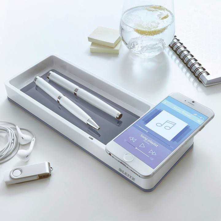 Image du produit Leitz Bac à crayons WOW Duo Colour